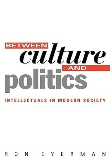 Between Culture and Politics