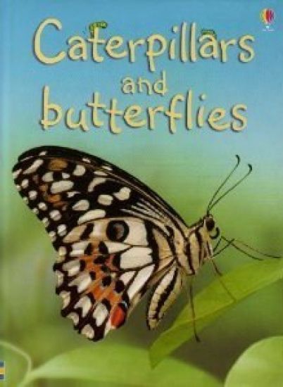 Caterpillars and Butterflies