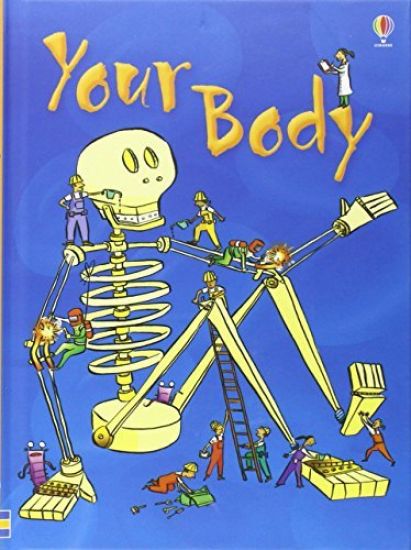 Your Body