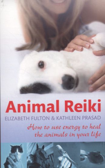 Animal Reiki