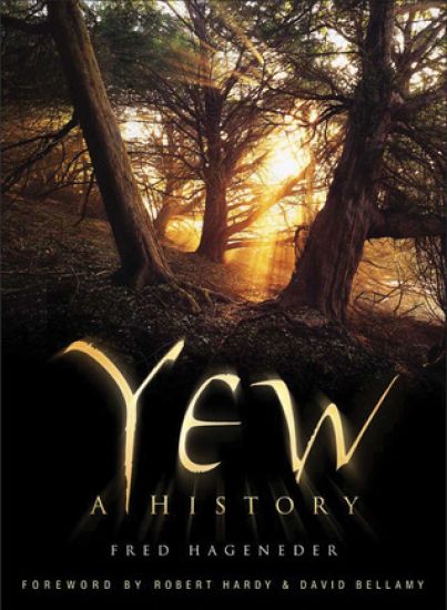 Yew