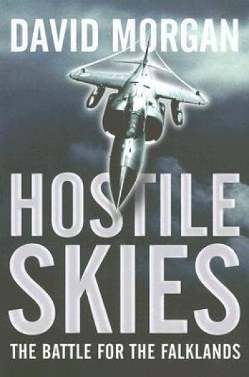 Hostile Skies