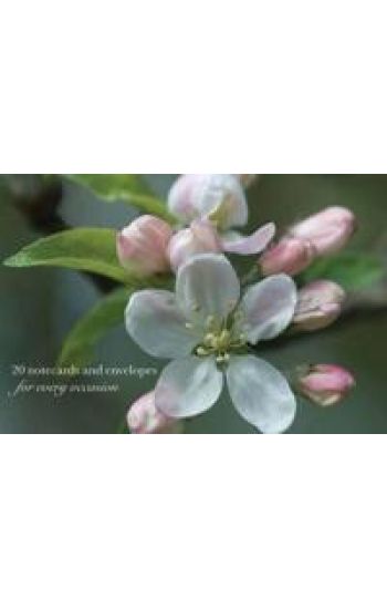 Cardbox of 20 Notecards and Envelopes: Apple Blossom