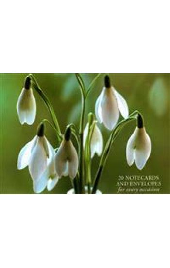 Card Box of 20 Notecards and Envelopes: Snowdrop