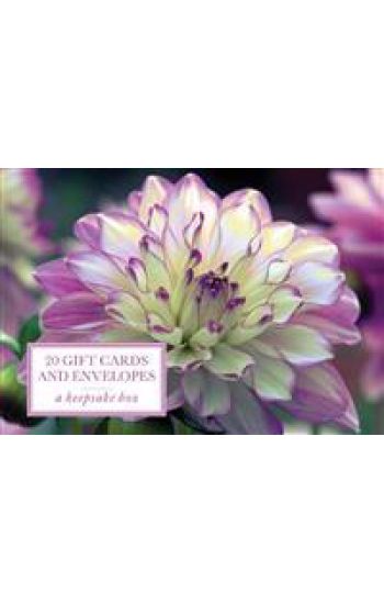 Tin Box of 20 Gift Cards and Envelopes: Dahlia