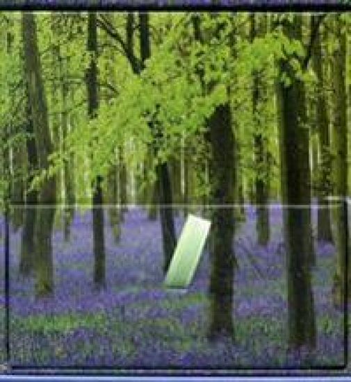 Memo Block - Bluebells