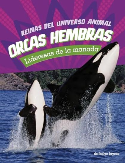 Orcas Hembras: Lideresas de la Manada