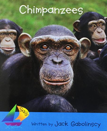 Chimpanzees: Leveled Reader