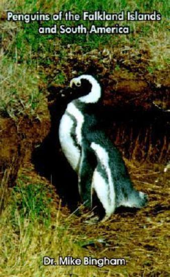 Penguins of the Falkland Islands and South America