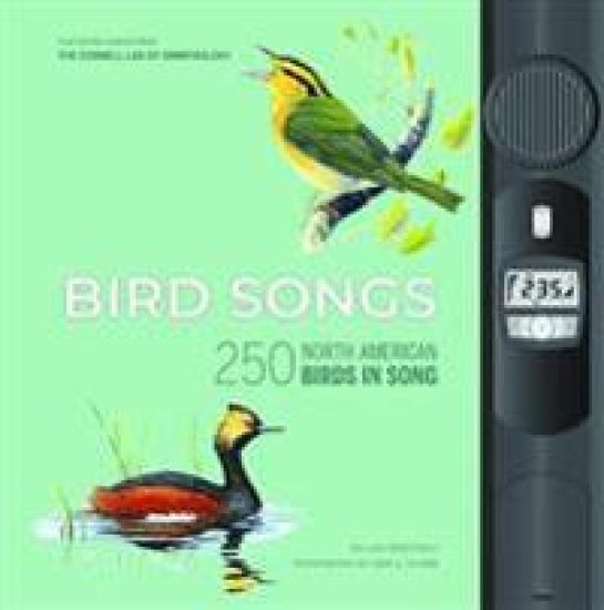 Bird Songs