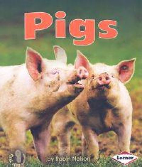 Pigs