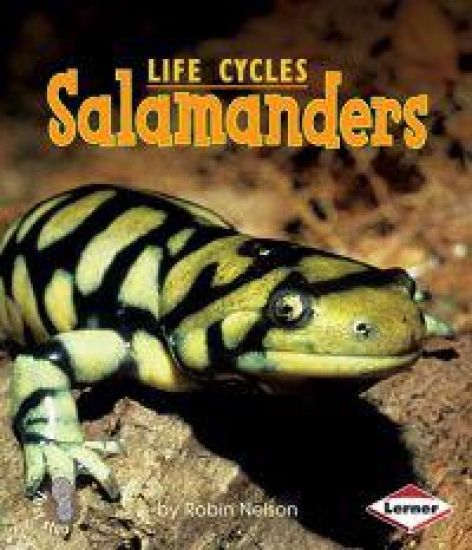 Salamanders