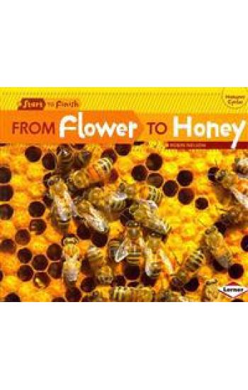 From Flower to Honey
