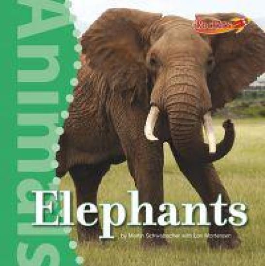 Elephants