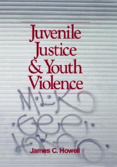 Juvenile Justice and Youth Violence