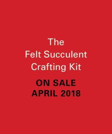 The Felt Succulent Crafting Kit