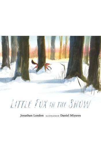 Little Fox in the Snow