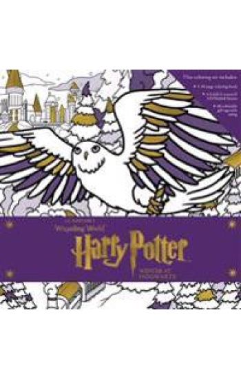 Harry Potter: Winter at Hogwarts: A Magical Coloring Set