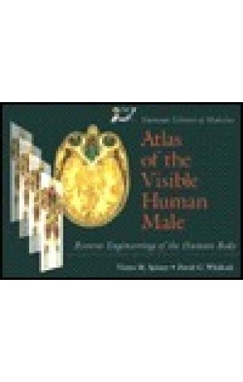 National Library Of Medicine Atlas Of The Visible Human Male: Reverse Engineering Of The Human Body