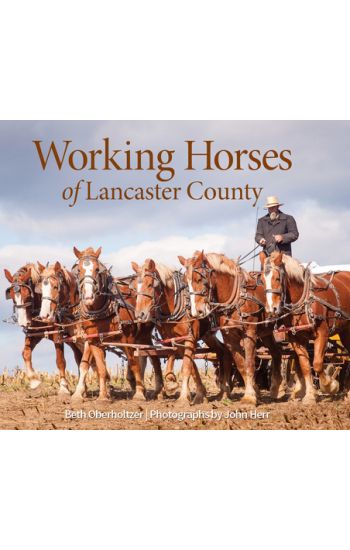 Working Horses of Lancaster County