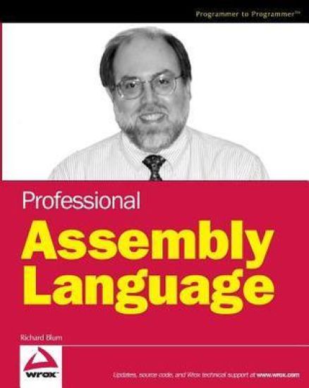 Professional Assembly Language