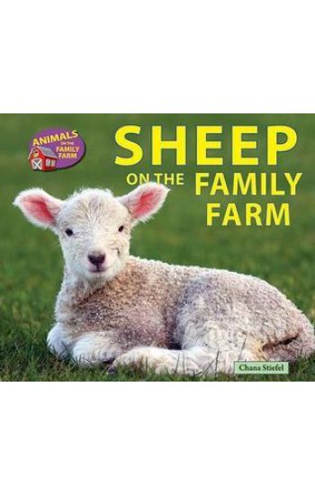 Sheep on the Family Farm