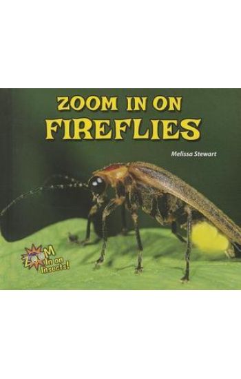 Zoom in on Fireflies