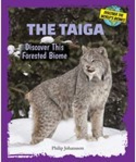 The Taiga: Discover This Forested Biome