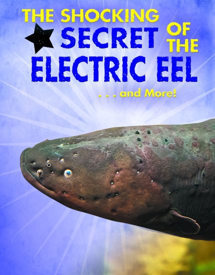 The Shocking Secret of the Electric Eel...and More!