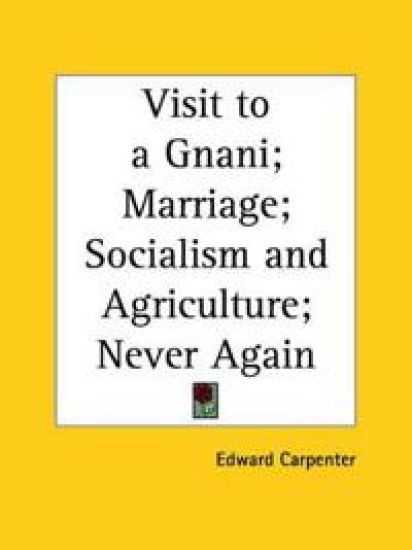 Visit to a Gnani; Marriage; Socialism & Agriculture; Never Again 1905