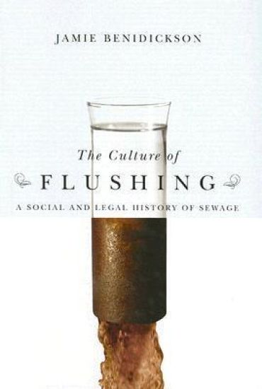 The Culture of Flushing