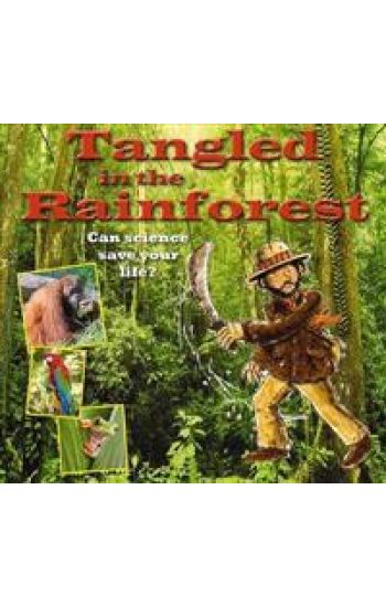 Tangled in the Rainforest