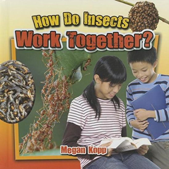 How Do Insects Work Together?