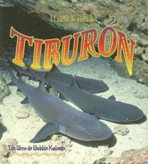 El Ciclo De Vida Del Tiburon