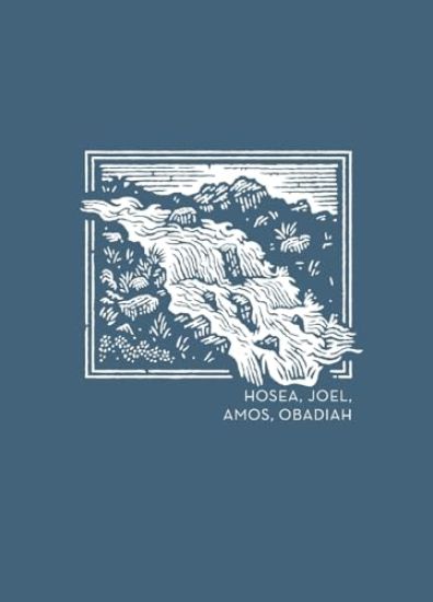 NET Abide Bible Journal - Hosea, Joel, Amos, Obadiah, Paperback, Comfort Print Softcover