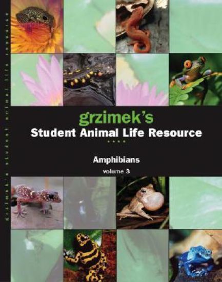 Amphibians