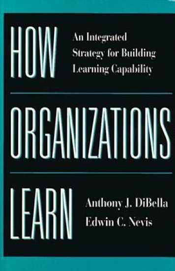 How Organizations Learn