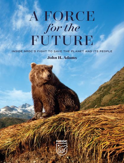A Force for the Future
