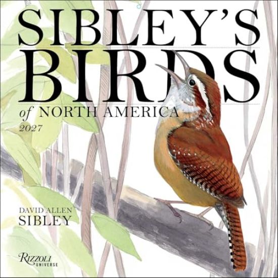 Sibley's Birds of America 2027 Wall Calendar