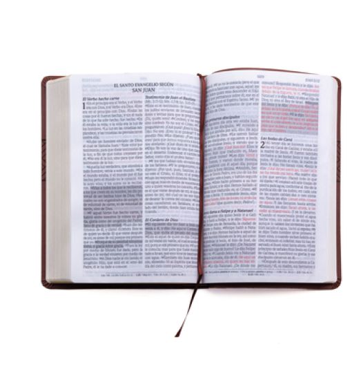 Santa Biblia de Promesas Reina Valera 1960 / Letra Gigante - 13 Puntos / Piel Especial Con Índice Y Cierre / Café // Spanish Promise Bible Rvr 1960 /