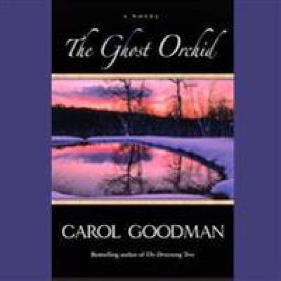 The Ghost Orchid