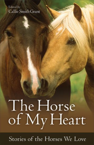 The Horse of My Heart – Stories of the Horses We Love