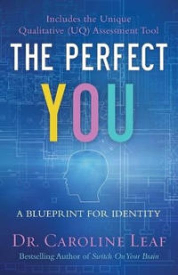 The Perfect You – A Blueprint for Identity