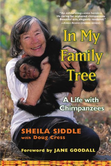 In My Family Tree