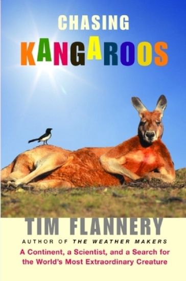 Chasing Kangaroos