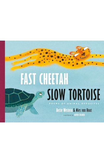 Fast Cheetah, Slow Tortoise