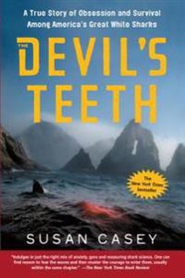 Devil's Teeth