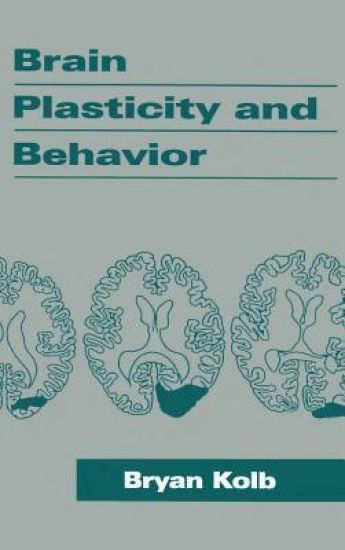 Brain Plasticity and Behavior