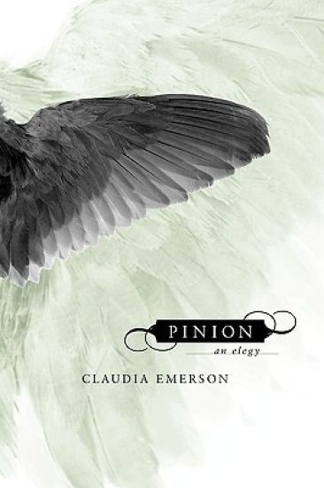 Pinion