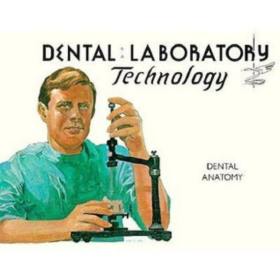 Dental Anatomy